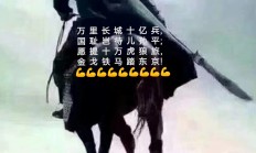 九游VIP-包含一位老将在关键时刻挺身而出，带领球队取得胜利的词条