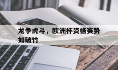 九游VIP-龙争虎斗，欧洲杯资格赛势如破竹