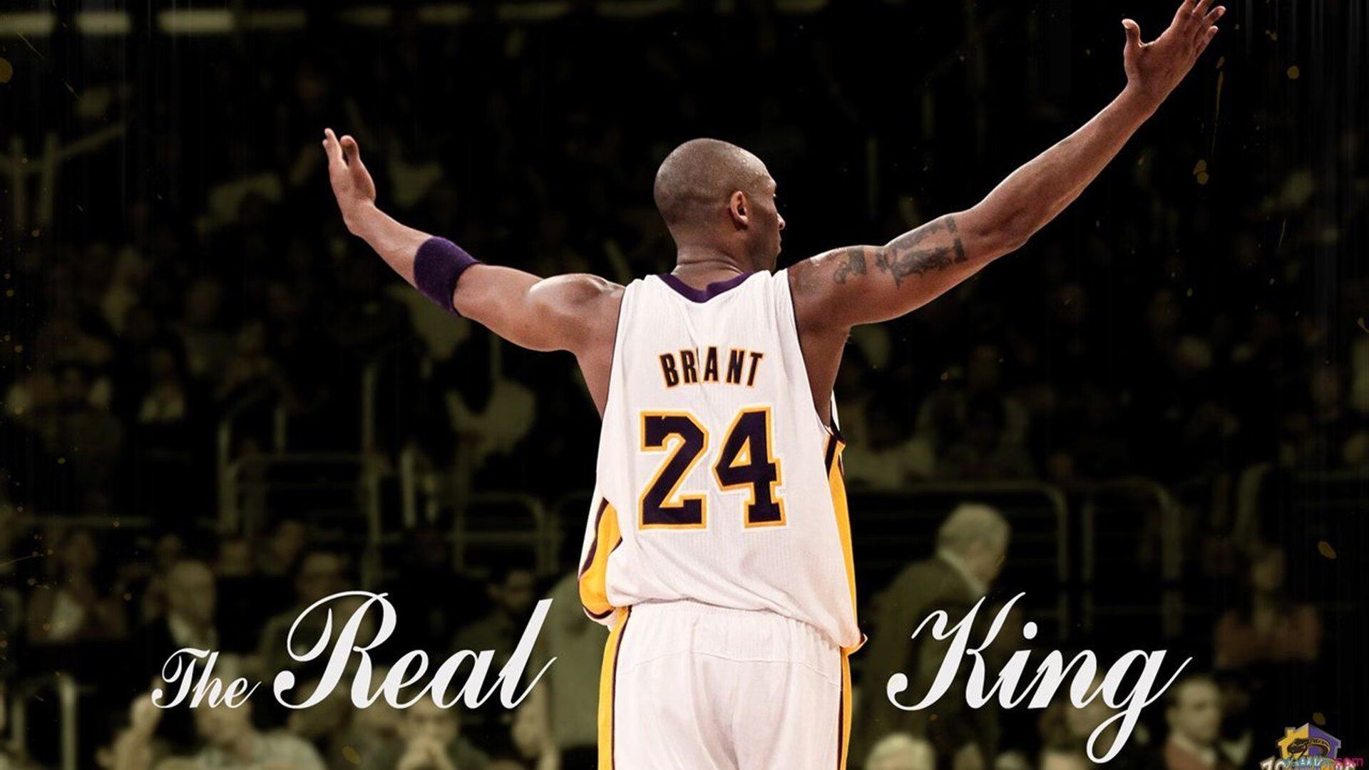 禁区铁闸与快打旋风，当恩比德锁死对手，灰熊冲垮广东