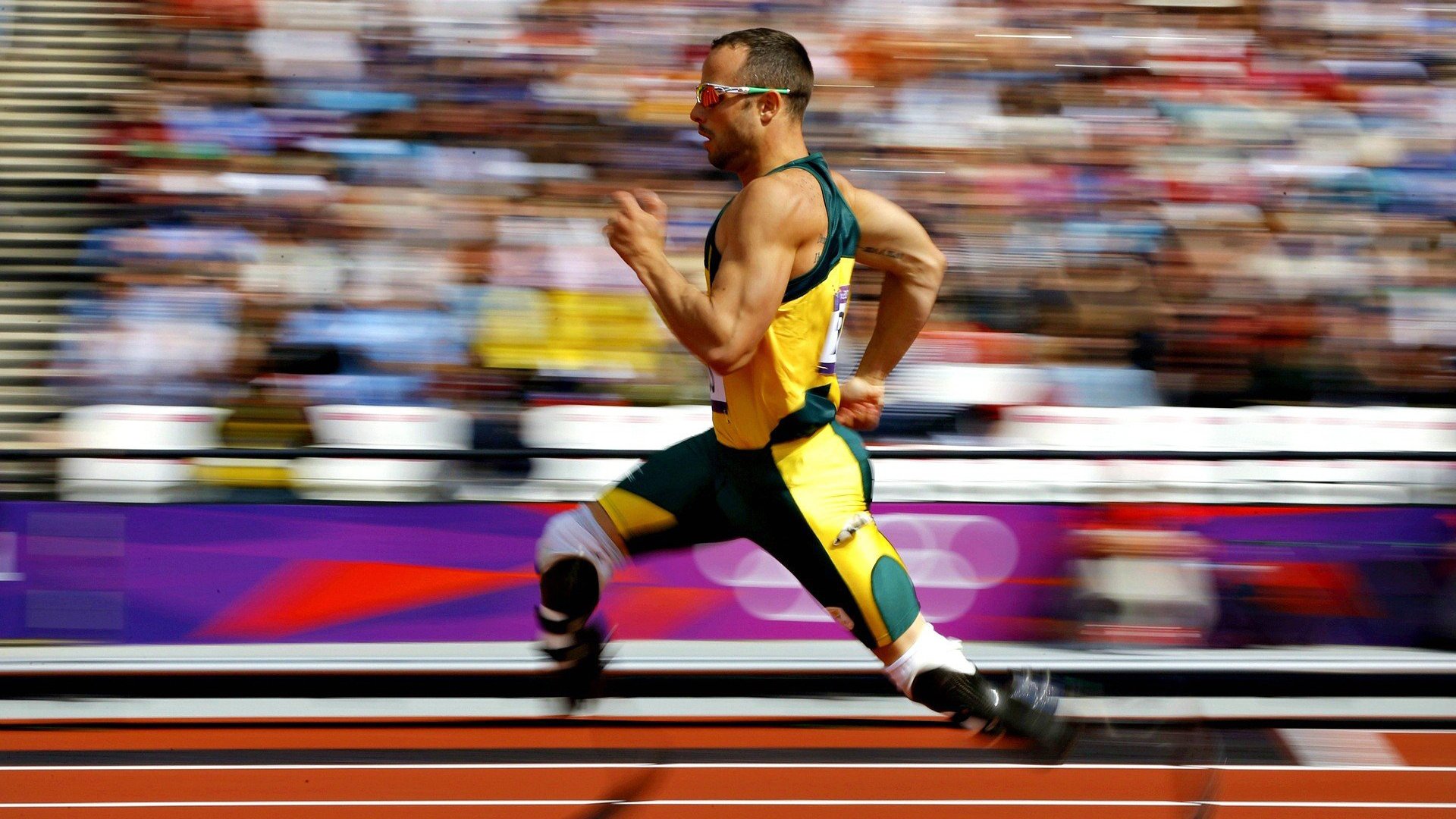 年度焦点之战之夜，锡安刷新纪录，重新定义禁区统治力